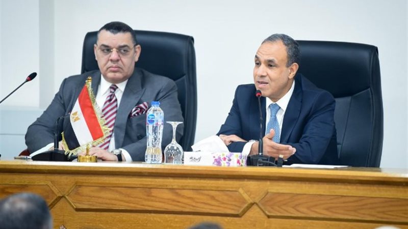 وزير الخارجية بدر عبد العاطي