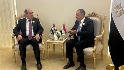 وزير الخارجية لنظيره السوري: نتطلع لاستعادة التنسيق الوثيق بين البلدين