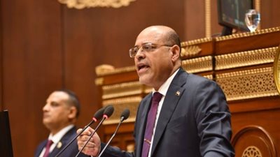 وزير العمل: المشروعات القومية تساهم في خفض البطالة إلى 6.5%