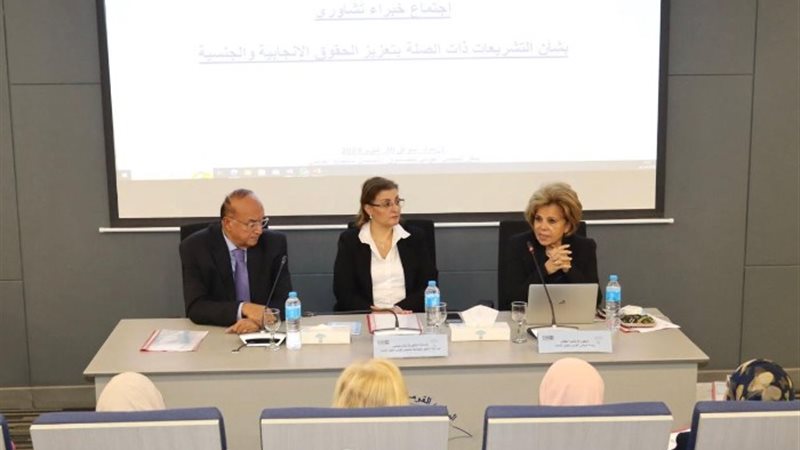 المجلس القومي لحقوق الإنسان