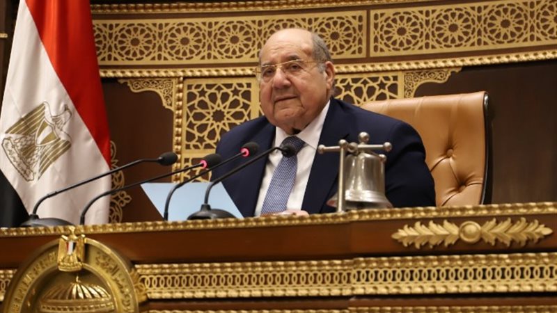 المستشار عبد الوهاب عبد الرازق، رئيس مجلس الشيوخ