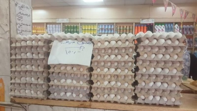 توفير بيض المائدة بالمجمعات الاستهلاكية