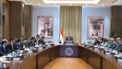رئيس الوزراء يتابع موقف البحث والاستكشاف عن الثروات الطبيعية والمعادن النفيسة