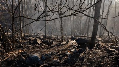 حرائق تحت الأمطار، غابات «جينينجز كريك» بأمريكا تواصل الاشتعال بسبب العواصف