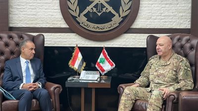 وزير الخارجية يشيد بالدور الحيوي الذي يلعبه الجيش اللبناني