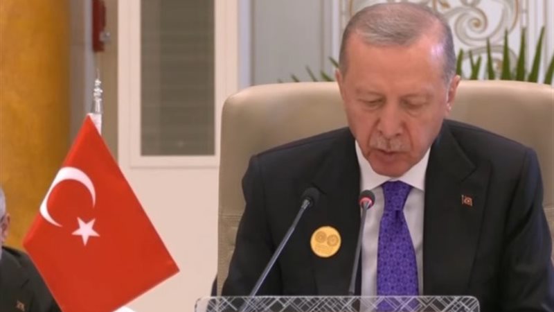 الرئيس التركي رجب طيب أردوغان في القمة العربية الغسلامية في