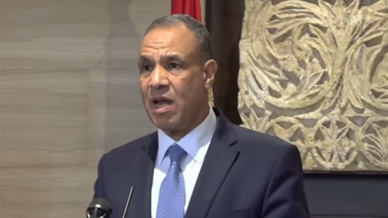 الدكتور بدر عبد العاطي، وزير الخارجية والهجرة وشئون المصريي