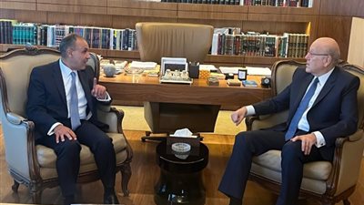 وزير الخارجية يبحث مع رئيس الوزراء اللبناني وقف الحرب وسبل الدعم المصري