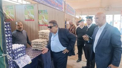 محافظ الدقهلية: 150 جنيه سعر طبق البيض في منافذ التموين