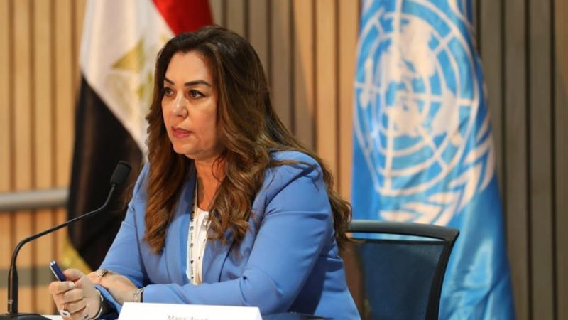 وزيرة التنمية المحلية