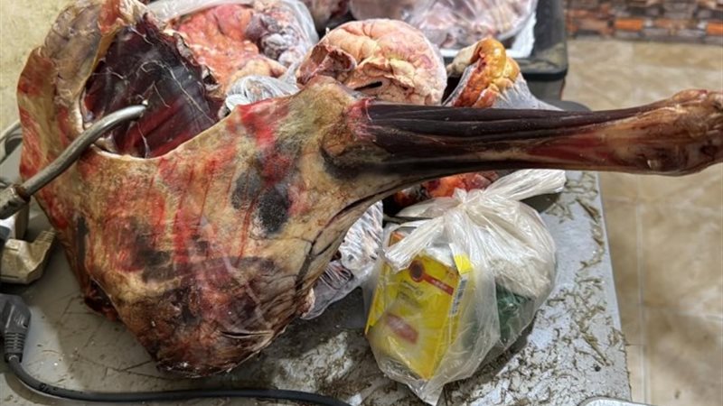 صور اللحوم المضبوطة
