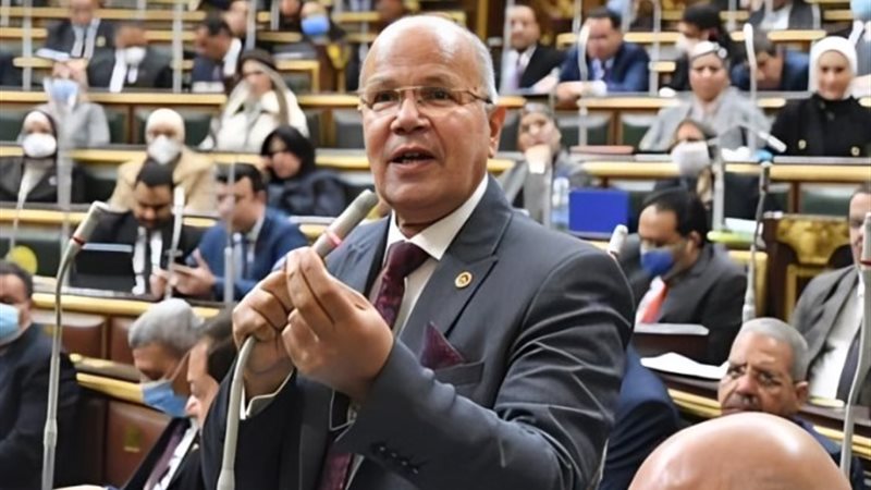 النائب السيد شمس الدين