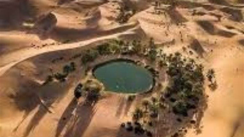 واحة سيوة