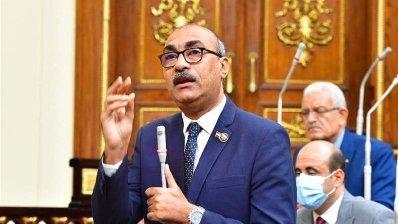 النائب إيهاب منصور، وكيل لجنة القوى العاملة بمجلس النواب
