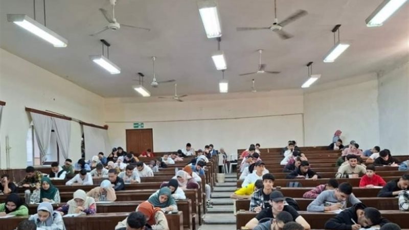 جامعة الإسكندرية