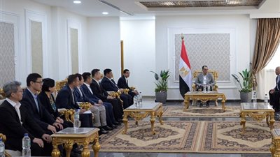 رئيس الوزراء يكشف عن مشروعات صينية عملاقة في الوادي الجديد