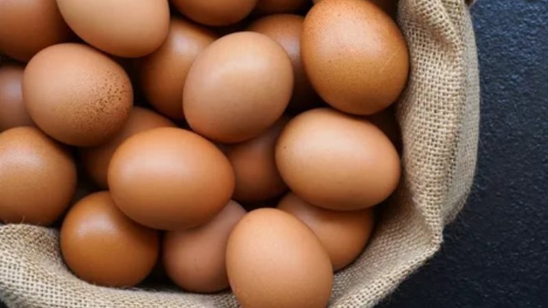 البيض التركي - أرشيفية