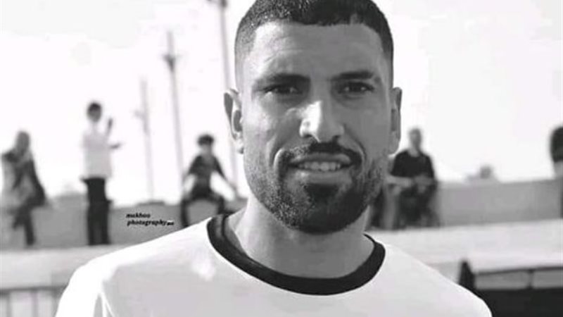 محمد شوقي
