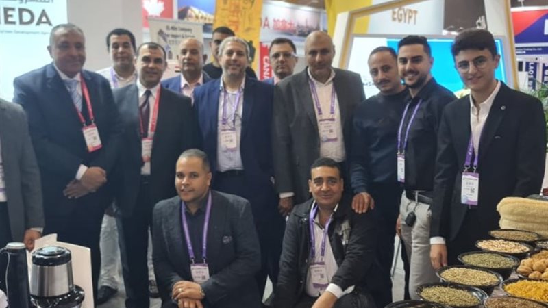 تنمية المشروعات
