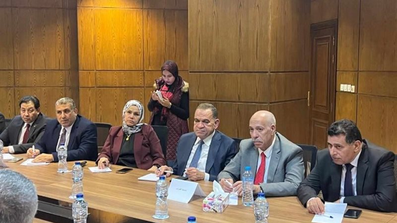 رشا عبد العال رئيس مصلحة الضرائب المصرية