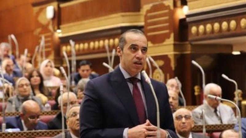 المستشار محمود فوزي