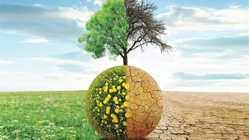 اتفاقية المناخ COP29
