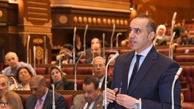 المستشار محمود فوزي: قانون سجل المستوردين ينظم عملية نشاط الاستيراد