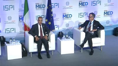 وزير الخارجية يؤكد ضرورة تمكين السلطة الفلسطينية لاستعادة وضعها في غزة