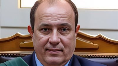 مد أجل الحكم على متهم بالانضمام لجماعة إرهابية ببولاق الدكرور إلى غد
