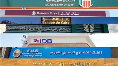 «فيتش» تتوقع محافظة القطاع المصرفي المصري على أدائه القوي