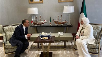 وزير الخارجية يبحث مع وزيرة المالية الكويتية تعزيز التعاون الاقتصادي