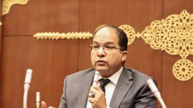 النائب عادل اللمعي