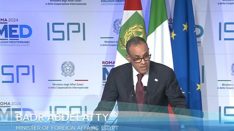 وزير الخارجية الدكتور بدر عبد العاطي