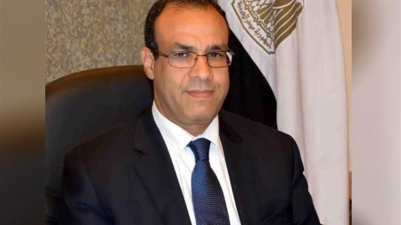 دكتور بدر عبد العاطي وزير الخارجية