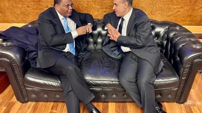 وزير الخارجية ونظيرة الكنونغولي يناقشان سبل تعزيز التعاون الثنائي بين البلدين