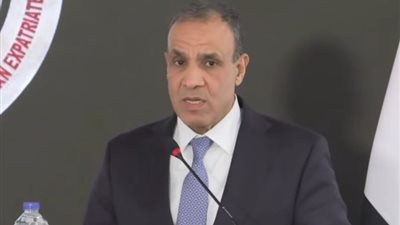 وزير الخارجية: إقامة الدولة الفلسطينية هو السبيل لتحقيق الاستقرار بالمنطقة
