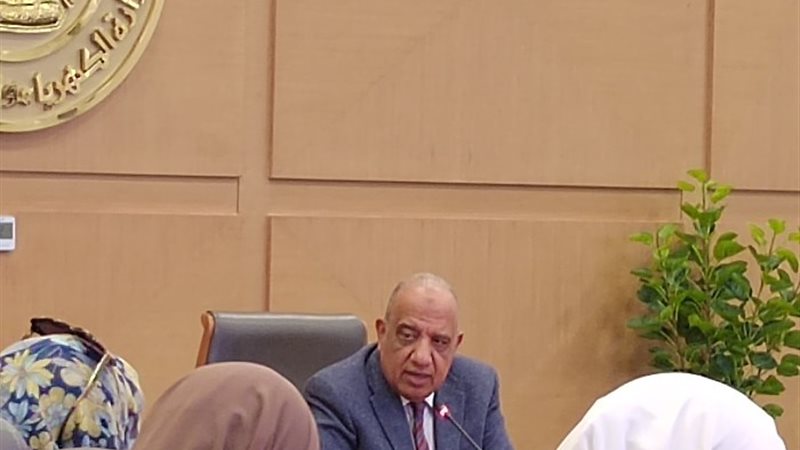 وزي الكهرباء