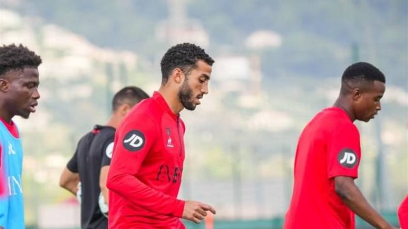 محمد عبد المنعم نيس الفرنسي