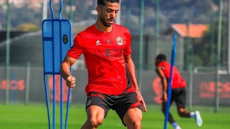 محمد عبد المنعم نيس الفرنسي
