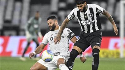 شاهد مجانا، بث مباشر مباراة أتلتيكو مينيرو وبوتافوجو في نهائي كوبا ليبرتادوريس 2024