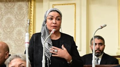 برلمانية: تخصيص مليار و41 مليون جنيه للمستحقين ببرنامج تكافل وكرامة