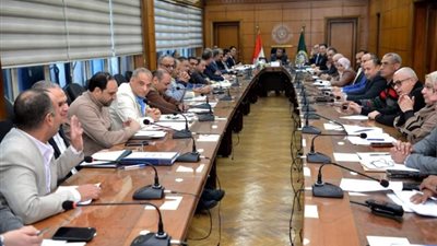 محافظ الدقهلية: المنطقة الصناعية بجمصة علي رأس الأولويات