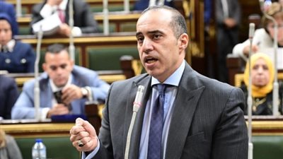 المستشار محمود فوزي :قانون الضمان الاجتماعي يسمح بضم فئات جديدة