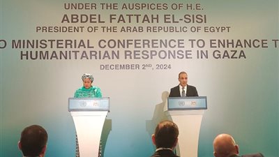 وزير الخارجية: مسألة تهجير الفلسطينيين من أراضيهم خط أحمر بالنسبة لمصر