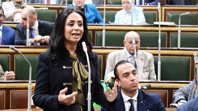 مجلس النواب يوافق على شروط استحقاق معاش تكافل بقانون الضمان الاجتماعي