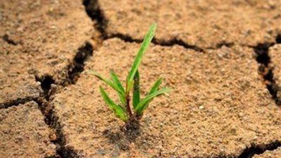 الجفاف يهدد العالم بخسائر اقتصادية هائلة في 2025