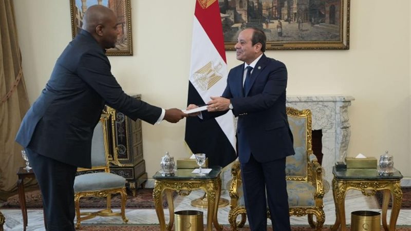 الرئيس عبد الفتاح السيسي