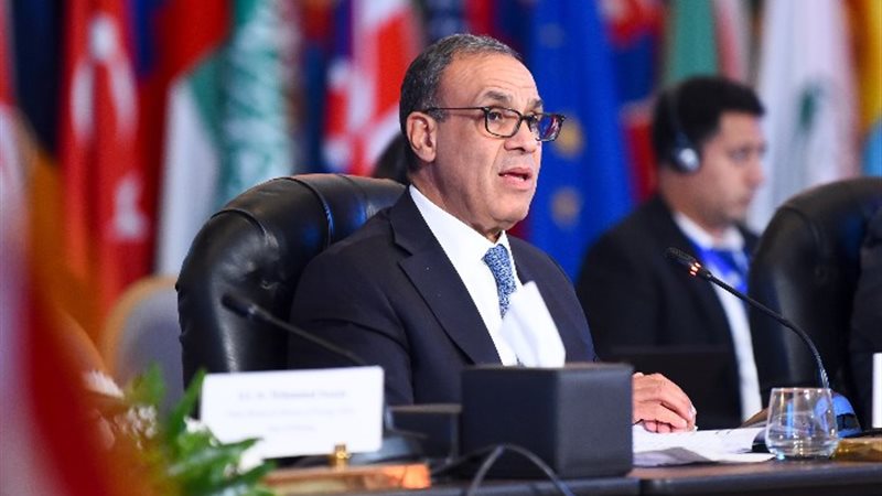 وزير الخارجية بدر عبد العاطي