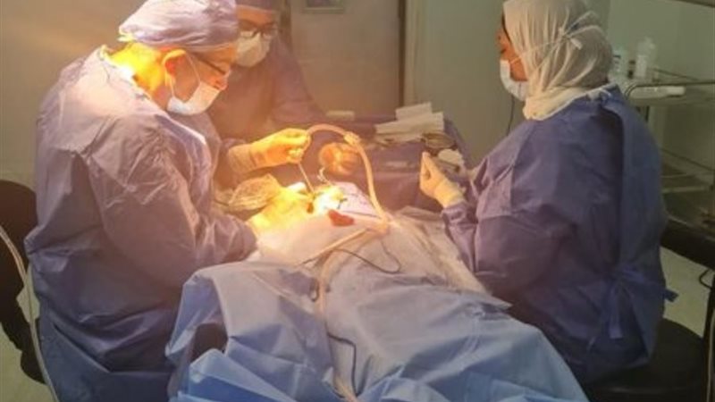 عمليات زراعة القوقعة
