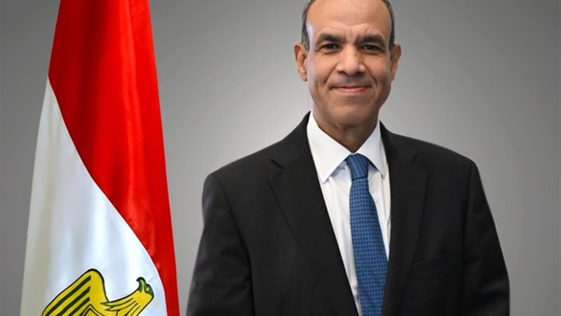 وزير الخارجية بدر عبد العاطي